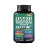 Sea Moss 7000mg Black Seed Oil 4000mg Ashwagandha 2000mg Ginger Blend with Turmeric 2000mg Bladderwrack Burdock & Vitamin D3 Vitamin C with ACV Chloro